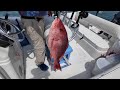Judge blocks Florida’s Atlantic red snapper season hours before Memorial Day weekend start