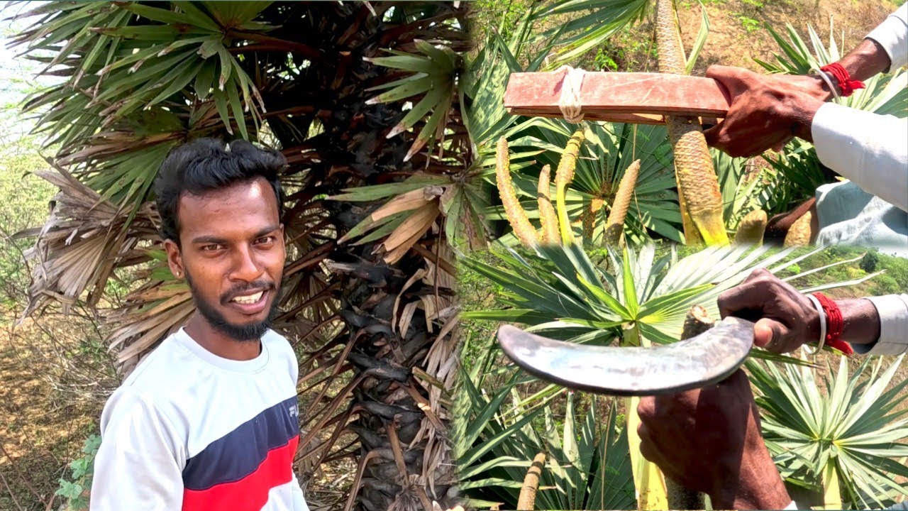 Pathaneer making BIGEST FAILER 😔 | 6 Days Time wast #pathaneer - YouTube