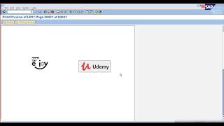 Display GRAPHICS on SAP SMARTFORM