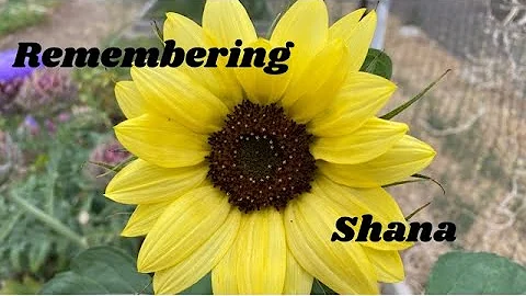 Remembering Shana