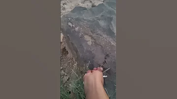 العثور على الكنوز الأثرية والتاريخية 