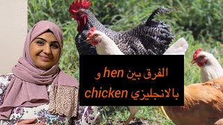 الفرق بين hen و chicken بالانجليزي #shorts #الانجليزية_العامة
