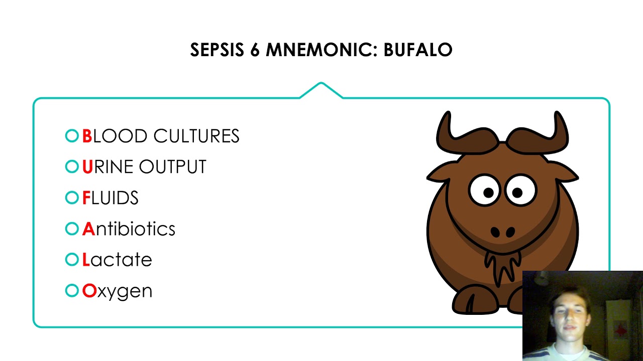 LACES Clinical Teaching Sepsis and shock YouTube