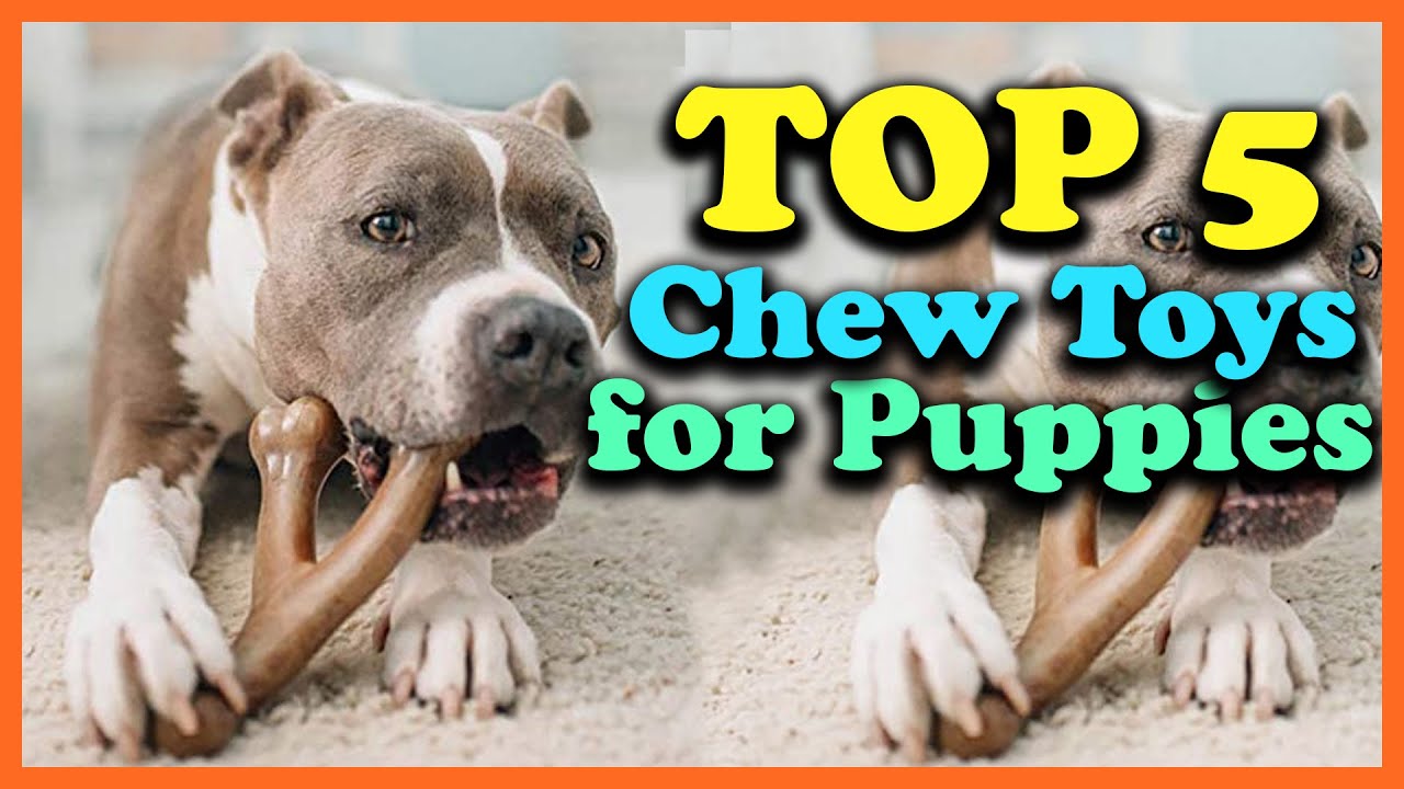 Best Chew Toys For Puppies Of 2022