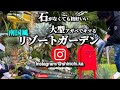 【庭訪問】大型アガベの地植えでキマる絶景リゾートガーデン‼︎ドライガーデン好きも必見です！