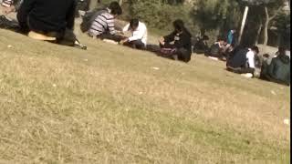 VIDEO0225