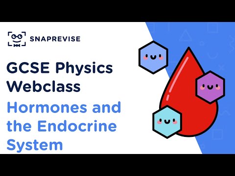 Gcse Biology: Hormones And The Endocrine System | Revision Webclass