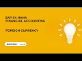 SAP FI - Configuration | Foreign Currency | Transaction Code NOBA7