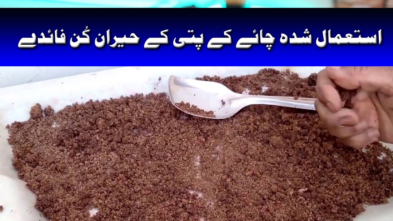 Chai Ki Patti Ke Fayde In Urdu/Hindi Tea Benefits for Plants Tea Benefits for Eyes Tricks