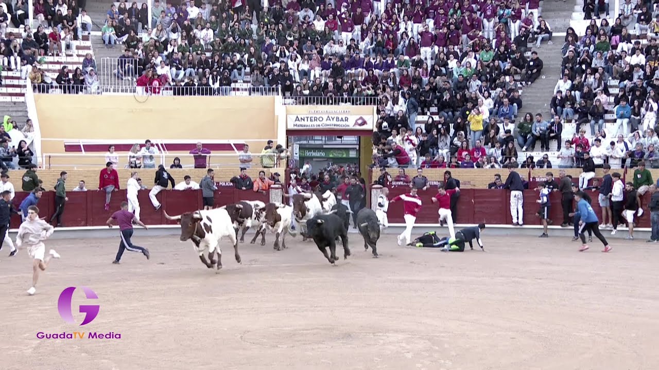 Largo cuarto encierro de las ferias de Guadalajara 2023