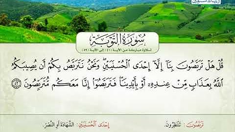 حسن خضر مرتجى ــــ سورة التوبة 41 الى 59