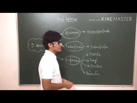 3 domain classification by Carl Woese: Archea, Bacteria, Eukarya