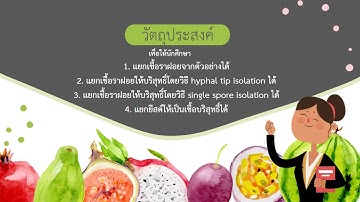 Mycology Lab Practical 2: Isolation of Molds and Yeasts