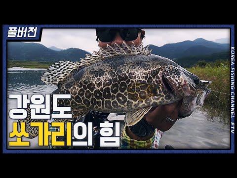 FTV풀버전)트리플기어 13회 &amp;quot;<strong>서강</strong> 쏘가리&amp;quot;