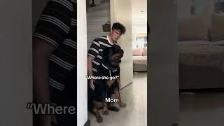 Spare VS Mom🥹 #rottweiler #puppy #dogs #viral
