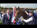 What can Irish racehorses do with their life after racing?