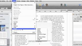 Understanding iBooks Author Widgets