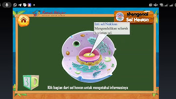 Preview media Android dengan judul Mengenal Sel Hewan