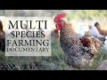 Benefits of Multi-Species Farming Documentary