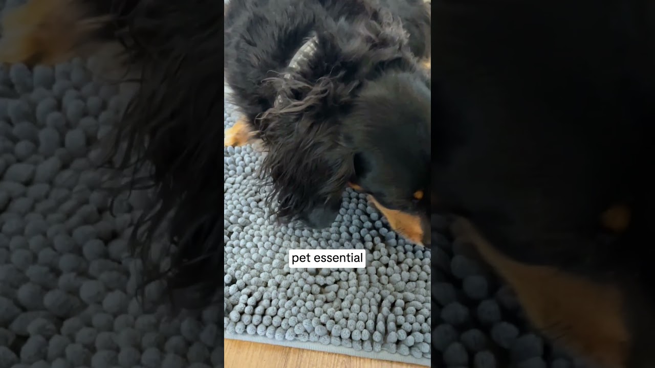 Muddy Mat is loved worldwide by dogs AND their owners. Check it out for yourself now! 