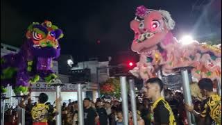 Mid-Autumn Festival Lion Dance. Dong Anh Lion Dance Performance, Crowded with People