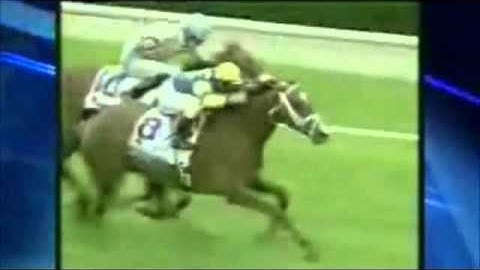 Pedigree Dynamics Jane Henning Host