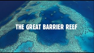 Queensland's Great Barrier Reef: The World's Best Address