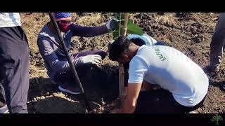 Being Earth Protector Target 500 1St Mini Forest Ktf