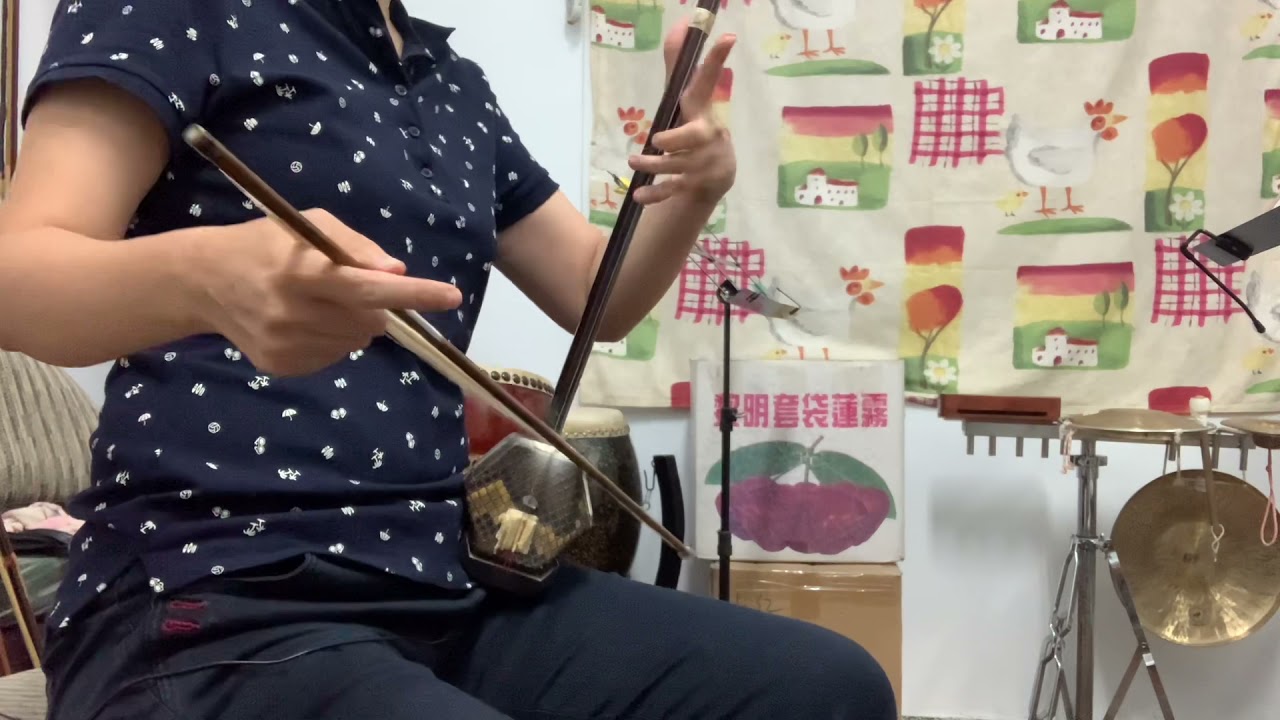 西海情歌  bB 二胡 刀郎