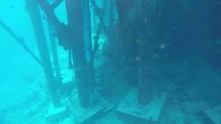 The Maldives Kihaa House Reef 25 02 19