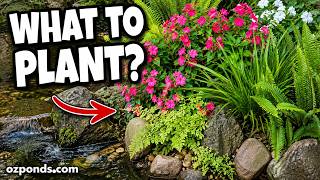 The Best Plants for a Bog Filter (And What to Avoid)