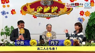 【金鯱賞2019予想】注目の好メンバーが揃った一戦！前哨戦を制する馬は？