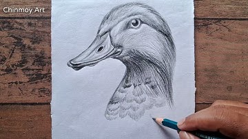 How to Draw a Duck Head || Realistic Drawing Tutorial for Beginners || Pencil Sketch Drawing