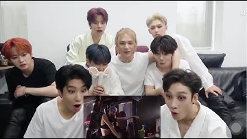 [HD] Straykids Reaction to LILI’s Film #4