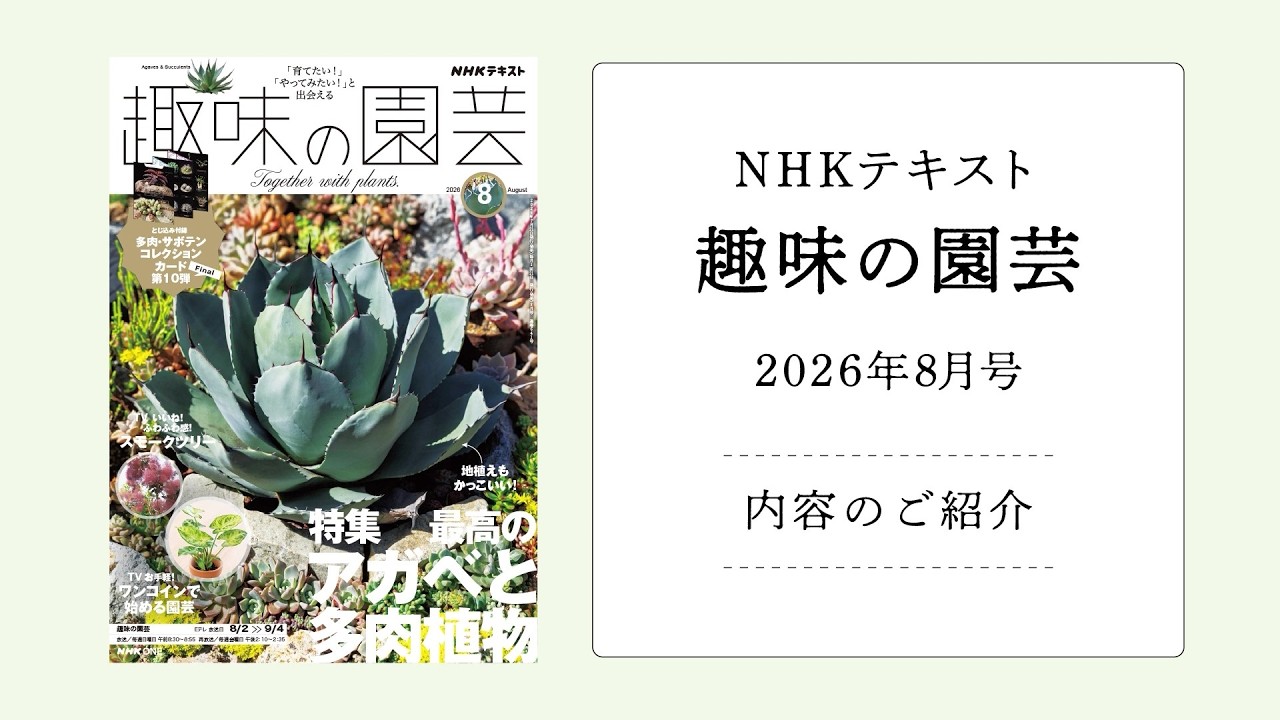 趣味の園芸』2026年8月号の紹介～最高のアガベと多肉植物【とじ込み