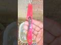 pet grooming stripping knife