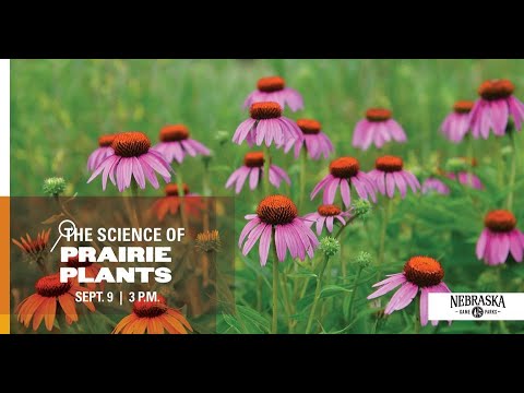 Science of...Prairie Plants