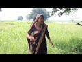 Bhojpuri comedy,,,