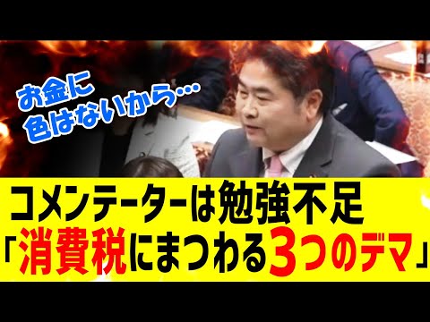 【デマ】政府が元凶！？ 消費税にまつわる３つの大デマ【れいわ新選組 高井崇志議員】