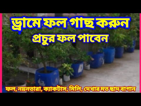 ভিডিও: আপনার বাগান কীভাবে পরিকল্পনা করবেন, মৌলিক নিয়ম