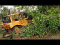 The amazing action of the cat d6r xl bulldozer operator in breaking through the wilderness
