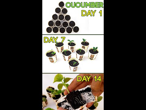 RECYCLE COFFEE CUP