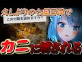 久しぶりの七星召喚野良マルチにて害悪蟹デッキに心を壊されるねるめろ氏ww【ねるめろ切り抜き】