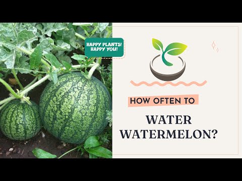🍉🍀 Gardening 101: