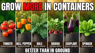 9 Vegetables That Grow BETTER in Containers Than In Ground