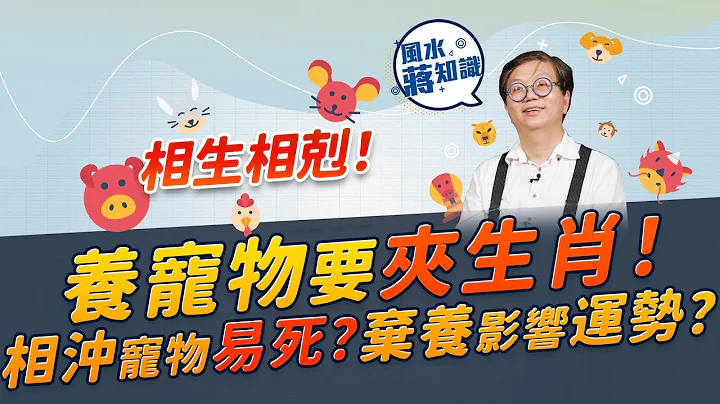 養寵物要夾生肖！貓與猴相沖，屬猴「貓奴」隨時剋死心愛毛孩？邊個生肖不宜養狗？棄養會影響運勢？｜《周一加油站》｜風水蔣知識｜etnet - 天天要聞