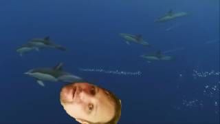 Shooting Stars Meme For Funeral