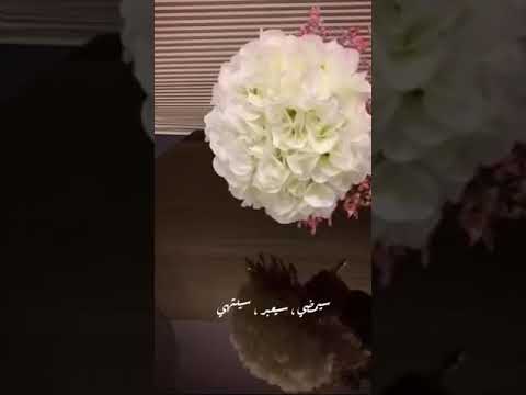 ستوري ستوريات تسجيل دخول ذوق اغاني عراقيه فن ثقافه معزوفه ستوري