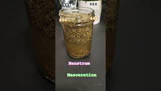 THYME  HOME #masonjars #herbs #diy #shortsfeed #shorts #thymeleaf  #holisticwellness
