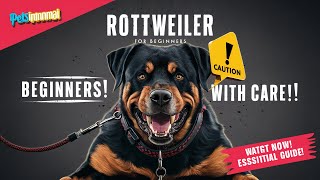 Rottweiler For First Time Dog Owners रटवयलर नवब क लए गम-चजग टपस Petsinfomania
